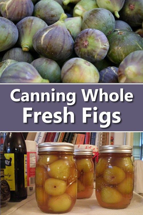 Canning Fresh Whole Figs Water Bath Canning Recipes Canning Tips Home