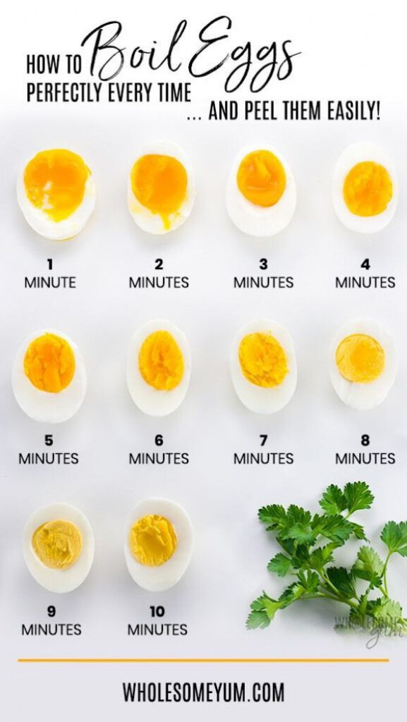 How To Boil Eggs Perfectly Every Time The Ultimate Guide For How To 