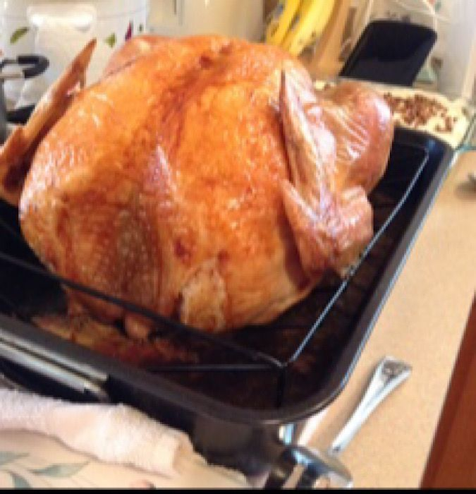 How To Cook A Turkey In A Convection Oven Recipe Convection Oven 