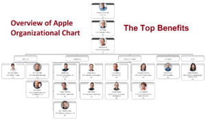 Umfassende Analyse Des Apple Organigramms