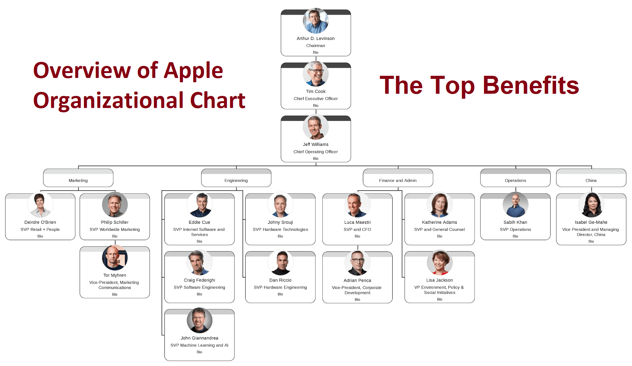 Umfassende Analyse Des Apple Organigramms